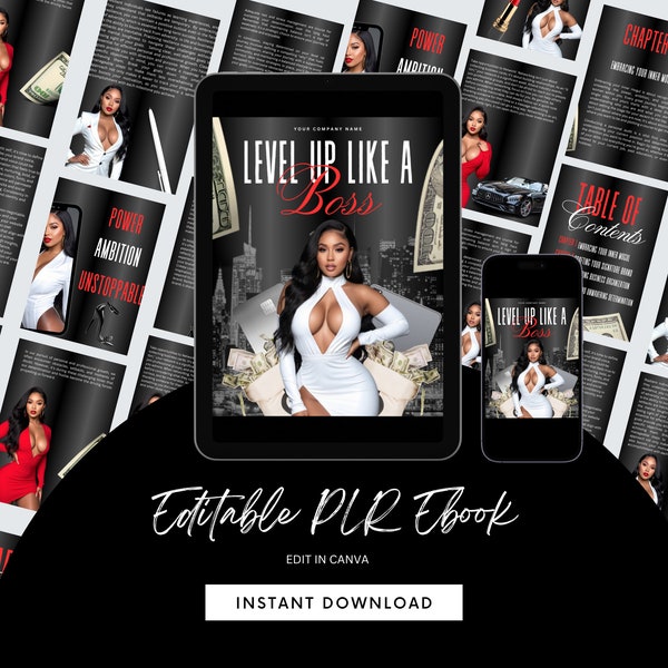 PLR eBook, Level up Ebook, PLR , White Label, PLR,  eBook, Done For You, Add your own brand and resell, Edit in canva