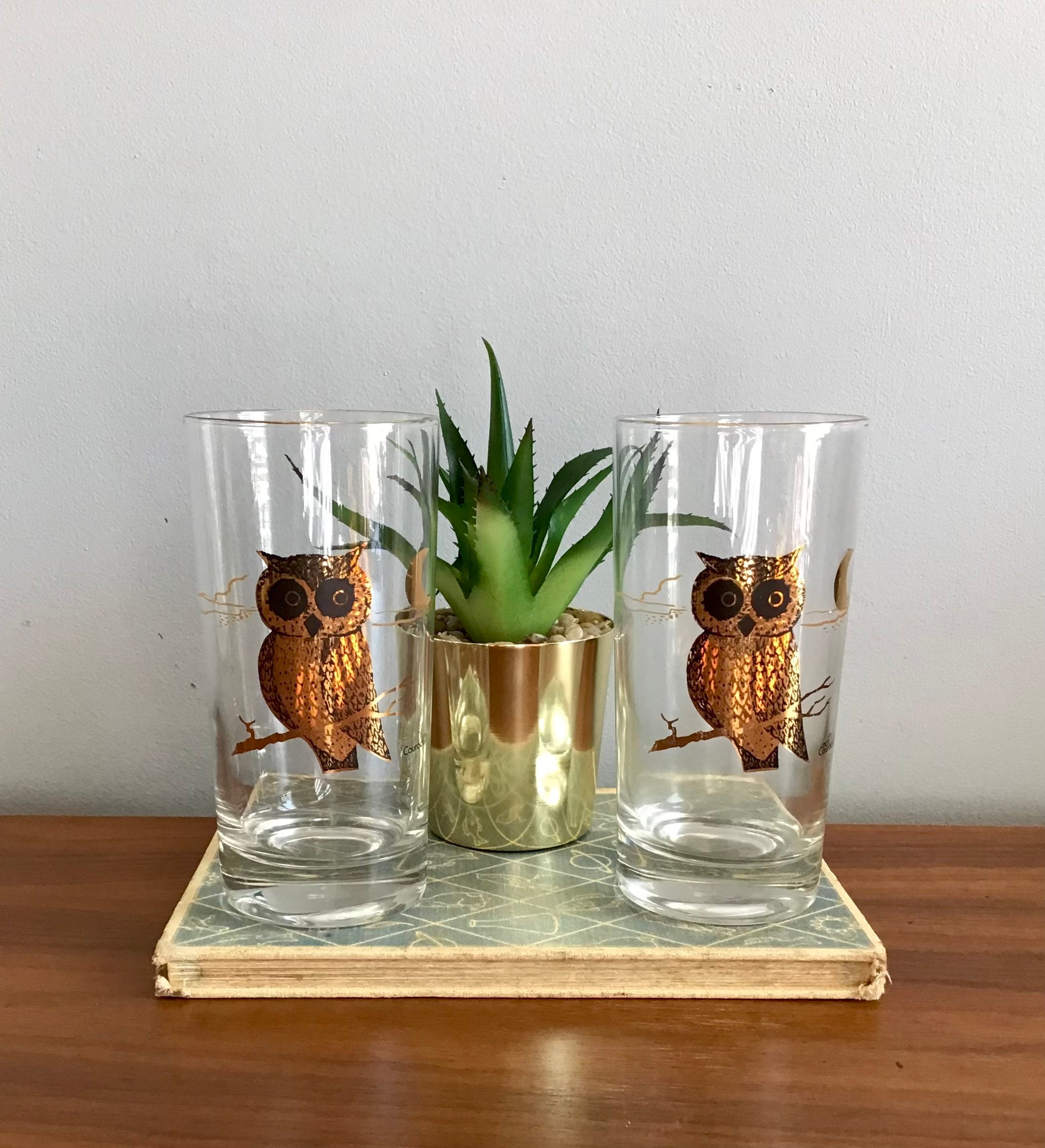 Creatures of Curiosity Highball Glasses Set of 2