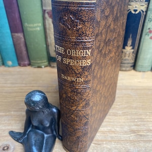 The Origin of Species by Charles Darwin, Odham’s Press Ltd - circa 1930 - splendid, robust, antique 6th edition.