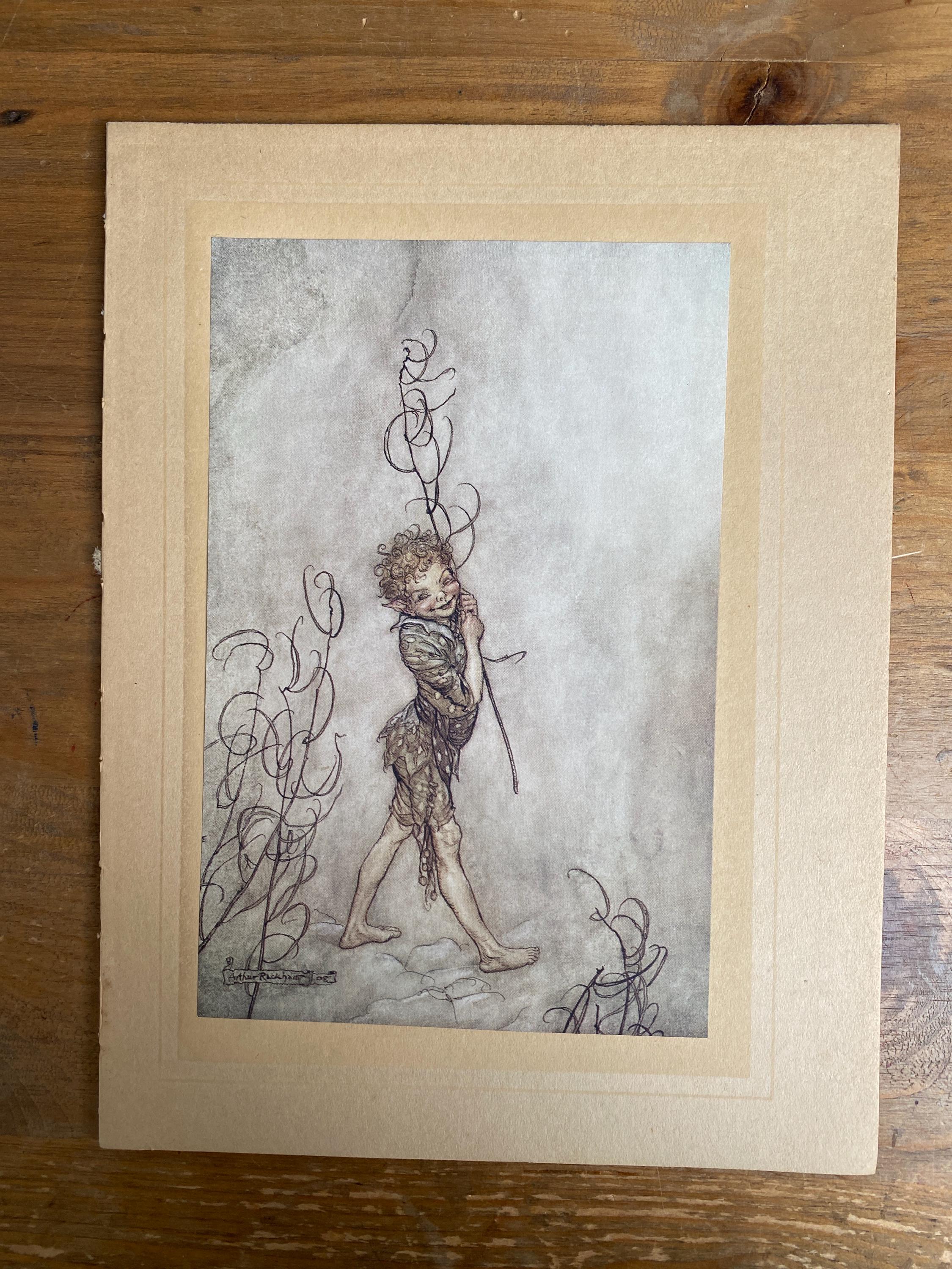 Arthur Rackham Puck Print, Midsummer Night's Dream, 1917 Original - Etsy