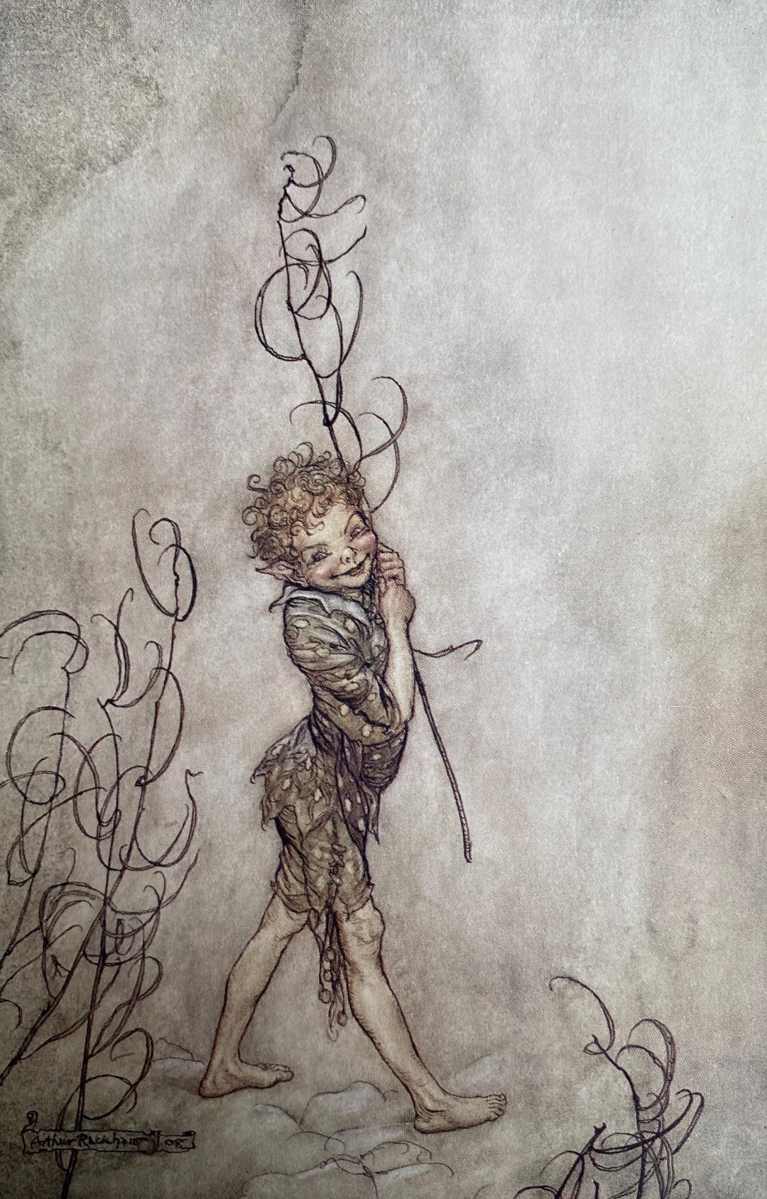 Puck, Original Prints by Arthur Rackham: From a 1917 Publication of ‘A ...