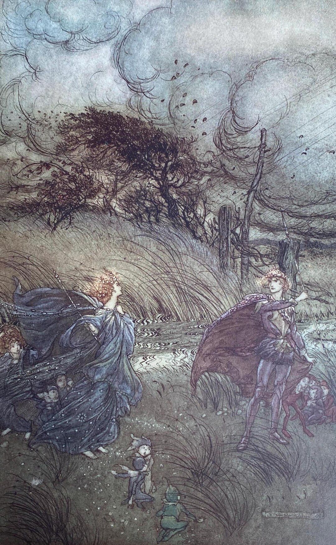 Arthur Rackham Titania and Oberon Print, A Midsummer Night's Dream ...