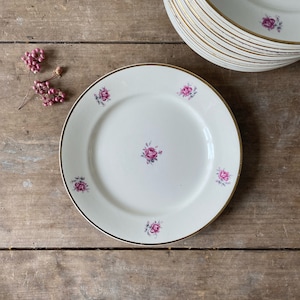 Old Badonviller flat plates