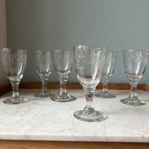 Set of 6 antique digestive glasses in engraved blown glass
