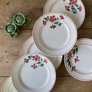 Set of 6 Ceranord semi-deep plates, “Julienne” model