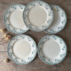 Creil and Montereau - set of 5 old flat plates, “Physalis” model