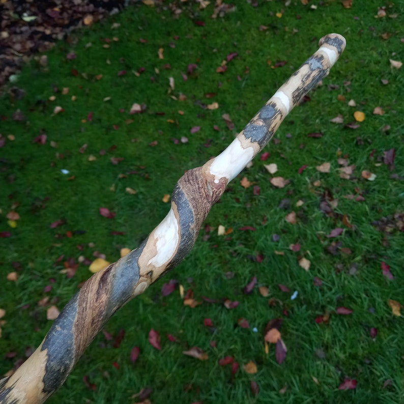 Elegant Twisted Hazel Hiking Staff Etsy