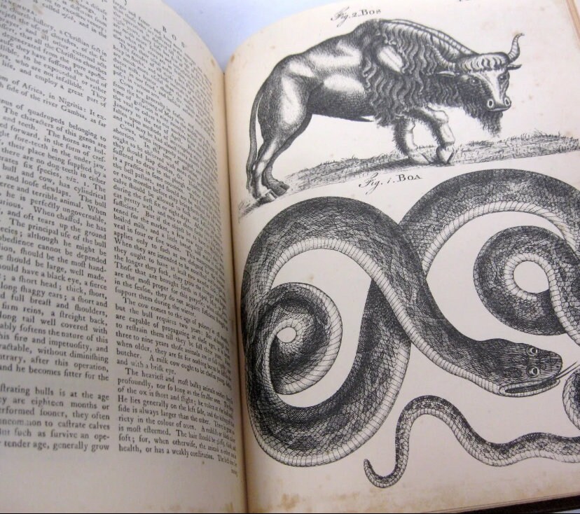 Vintage Encyclopedia Britannica First Edition Print 1768-1771