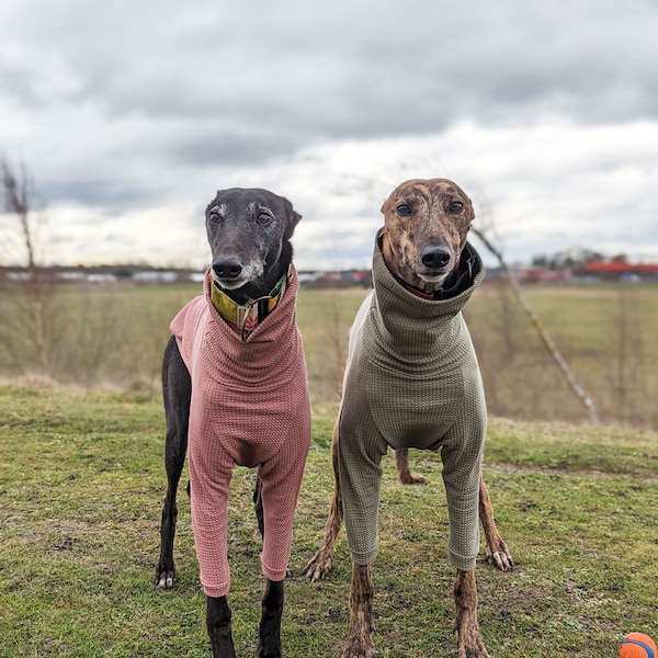 Greyhound Jumper | Sighthound clothing | Mini Cable Knit Jumper - 3 colours