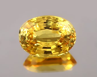 Zafiro amarillo AAA de Ceilán: gema ovalada de Sri Lanka de 14 x 10 mm.
