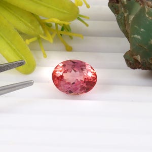 7.20 CT Bi-Color Padparadscha Sapphire: Ceylon Oval Gemstone