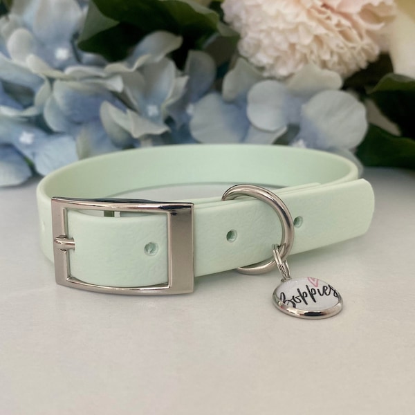 Pastel Mint Waterproof Dog Collar 1.6cm Width - Rose Gold, Silver, Brass or Stainless Steel Hardware - Pastel Green Collar