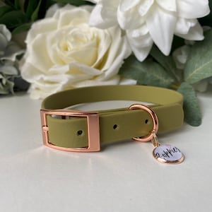 Etsy new arrivals puppy collars