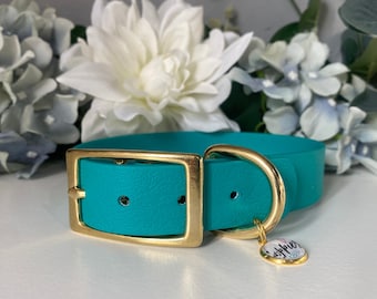 teal collar