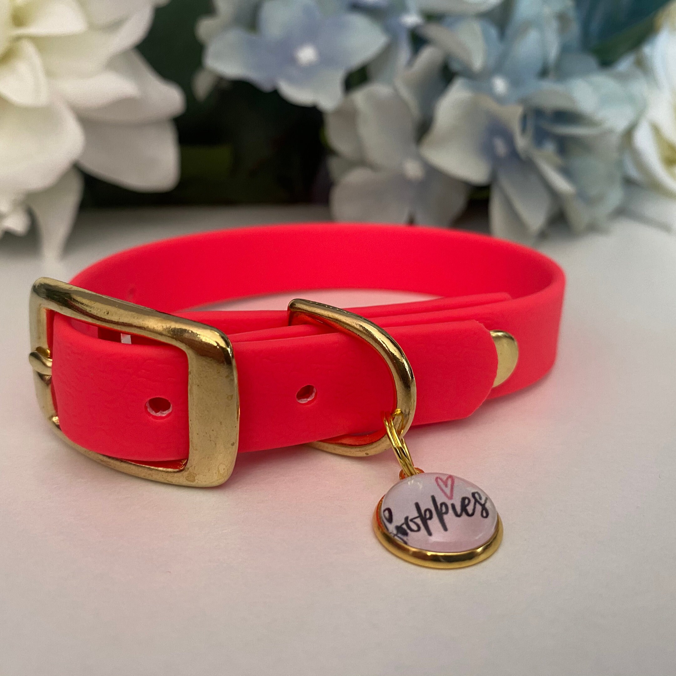 Neoprene Dog Collar UK