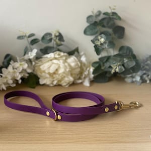 May include: A purple dog lead with gold hardware. The lead is made of a soft, durable material and has a comfortable grip.