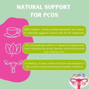 Puede incluir: Ilustraci&oacute;n de una taza de t&eacute;, una rama de menta verde y un &uacute;tero con flores. El texto dice "Apoyo natural para el SOPQ" y explica c&oacute;mo el t&eacute; de menta verde puede ayudar a las mujeres con s&iacute;ntomas del SOPQ.