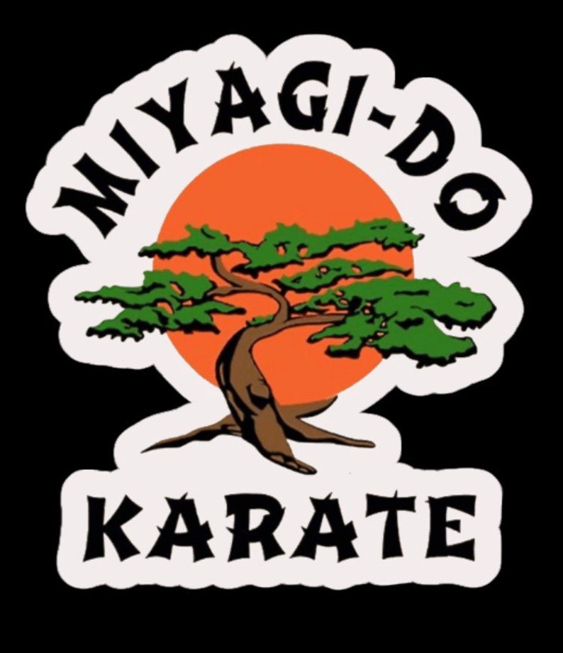 cobra kai vs miyagi do cobra kai vs miyagi do
