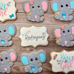 Elephant Gender Reveal Cookies | Boy or Girl | Baby shower cookies | baby elephant