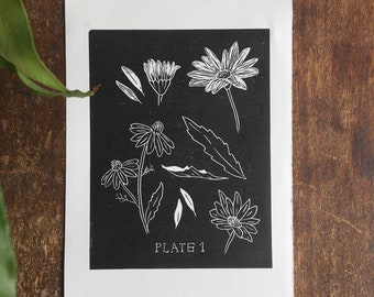 Daisy Lino print in black / Botanical print