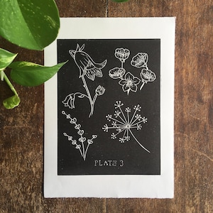 Wildflower Lino print in black / Botanical print