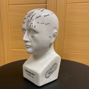 Antique Ceramic Small Phrenology Head