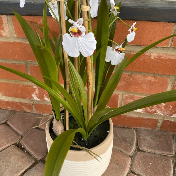 Orquídea Oncidium grande en maceta artificial Beautifuly Made - Amarillo o blanco