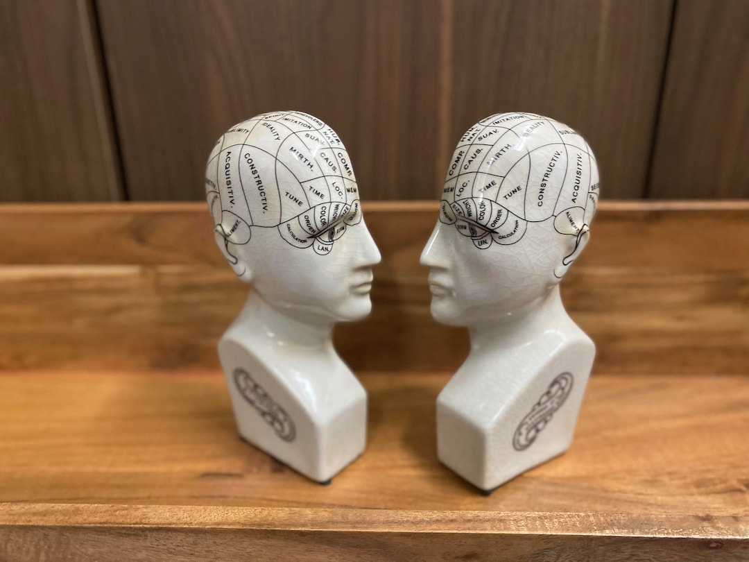 Antiqued Ceramic Phrenology Head Bookends Etsy