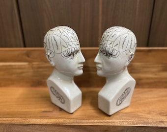 Antiqued Ceramic Phrenology Head Bookends