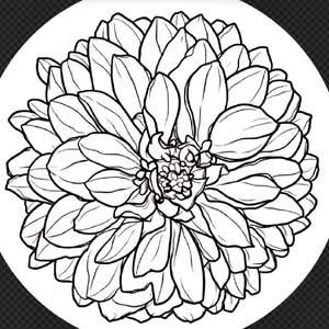 Puede incluir: Dibujo lineal en blanco y negro de una flor de dalia. La flor est&aacute; centrada en un fondo circular blanco. Los p&eacute;talos est&aacute;n en capas y detallados, creando una forma completa y redondeada. Ilustraci&oacute;n bot&aacute;nica.
