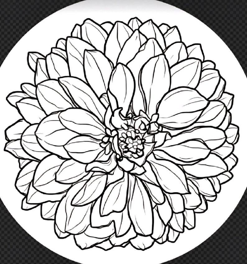 Puede incluir: Dibujo lineal en blanco y negro de una flor de dalia. La flor est&aacute; centrada en un fondo circular blanco. Los p&eacute;talos est&aacute;n en capas y detallados, creando una forma completa y redondeada. Ilustraci&oacute;n bot&aacute;nica.