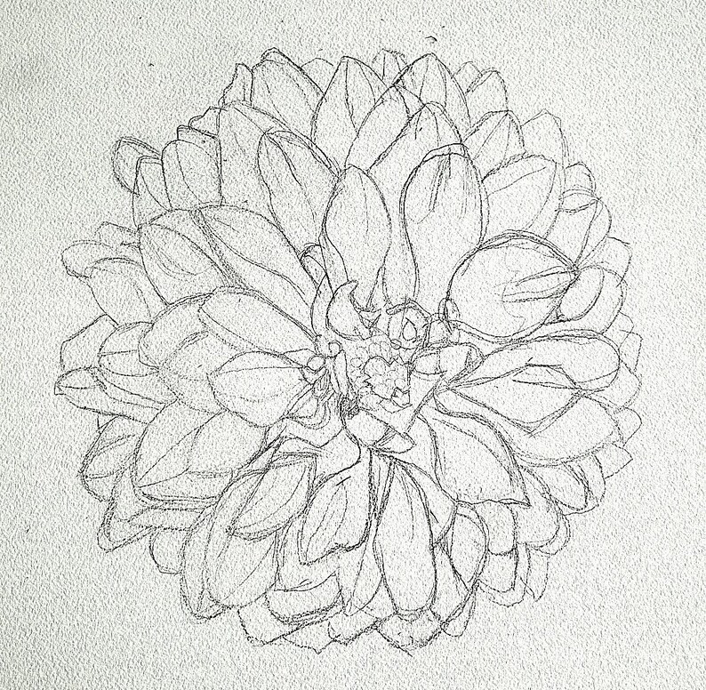 Puede incluir: Un boceto a l&aacute;piz de una flor de dalia. El dibujo muestra la disposici&oacute;n detallada de los p&eacute;talos, cada uno cuidadosamente delineado. La flor est&aacute; centrada, sobre un papel texturizado blanquecino, resaltando su forma y estructura compleja.