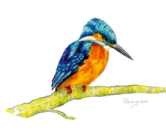 Limited PRINT edition. Kingfisher, print of original illustration, wildlife, nature, bird