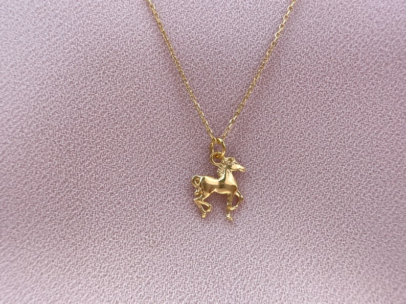 Horse lover necklace image 1