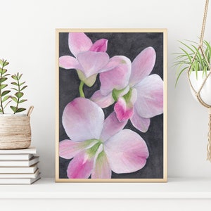 Orchidea Orchid Watercolor Fine Art Print