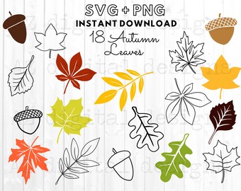 Fall Leaves Svg Etsy
