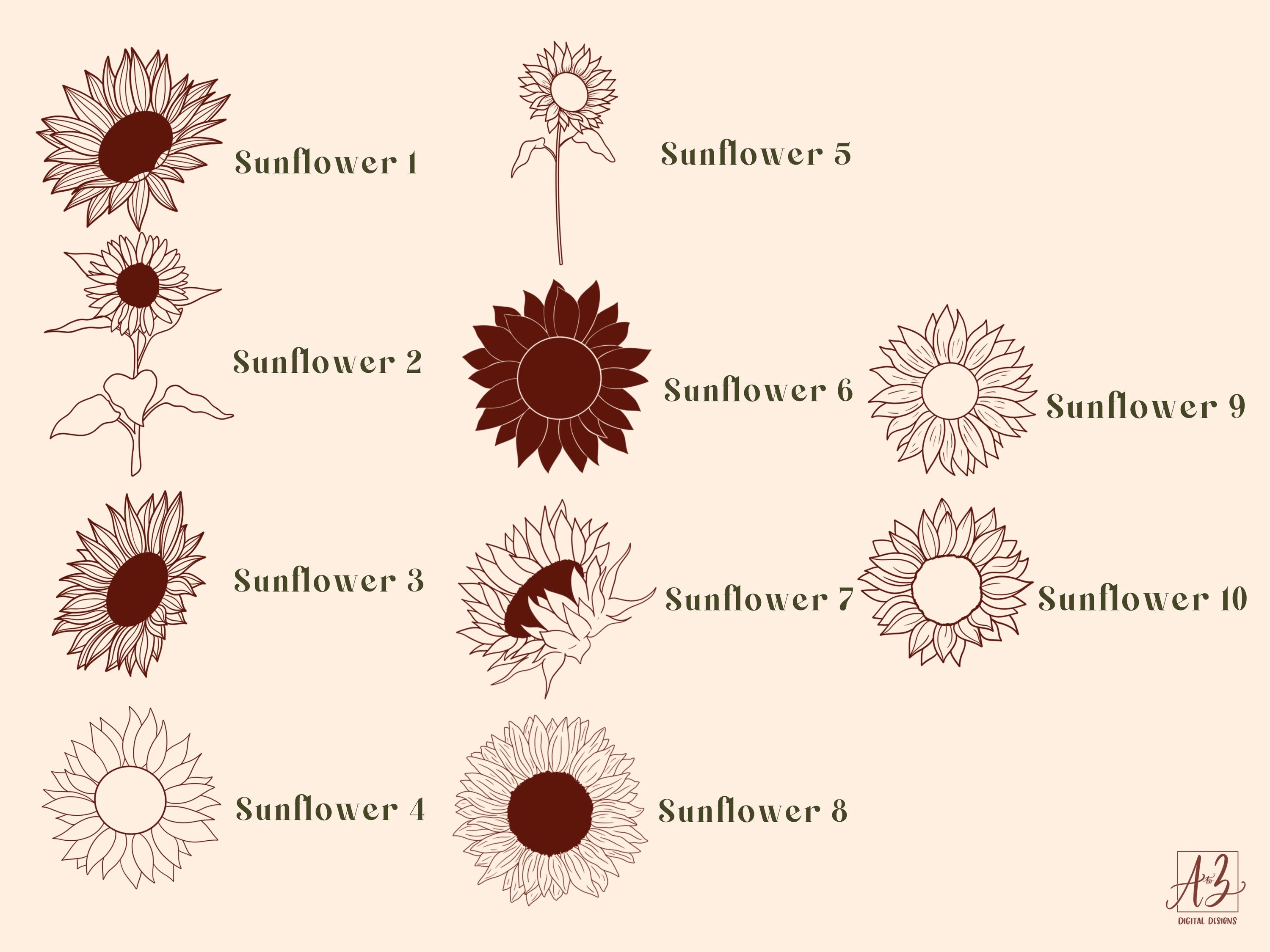 Sunflower Procreate Stamps | 10 Sunflowers Procreate Brushes | Floral ...