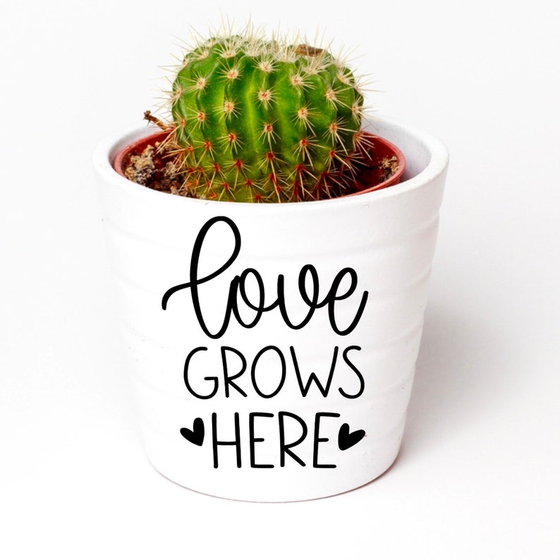 May include: White ceramic planter with the text "love grows here" and two small hearts. A green cactus plant is in the planter.