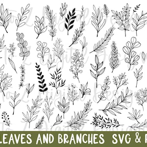 Leaves svg | 59 leaves svg bundle | greenery svg | leaf border svg | branch svg | leaf svg | hand drawn leaves svg | leaf vector | leaf png