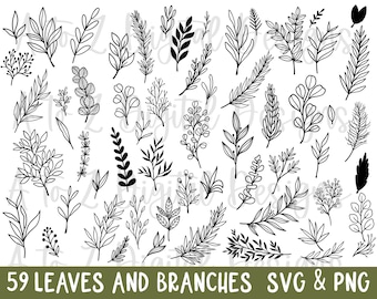 Leaves svg | 59 leaves svg bundle | greenery svg | leaf border svg | branch svg | leaf svg | hand drawn leaves svg | leaf vector | leaf png