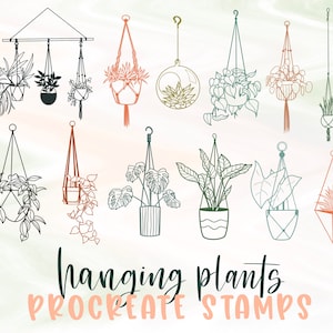 Plant procreate stamps | hanging houseplant procreate stamps | botanical procreate stamp | plant procreate brushes | doodle procreate stamp