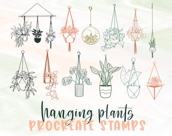 Plant procreate stamps | hanging houseplant procreate stamps | botanical procreate stamp | plant procreate brushes | doodle procreate stamp