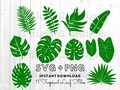 Tropical leaves svg | monstera leaf svg clipart | commercial use svg | jungle leaves clipart | palm branch svg | tropical party decor |