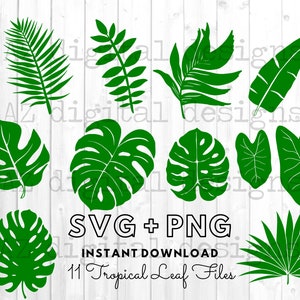 Tropical leaves svg | monstera leaf svg clipart | commercial use svg | jungle leaves clipart | palm branch svg | tropical party decor |