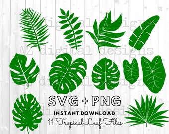 Hojas tropicales svg / hoja de monstera svg clipart / uso comercial svg / hojas de la selva clipart / rama de palma svg / decoración de fiesta tropical /