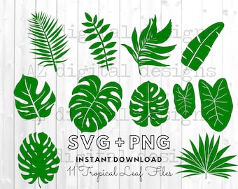 Tropikalne liście SVG | Monstera liść SVG clipart | wykorzystanie komercyjne svg | liście dżungli clipart | gałązka palmowa svg | wystrój tropikalnej imprezy |