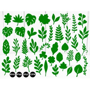 40 Blätter svg, Blatt svg, Papierblumenblätter svg, Blattvorlagen svg