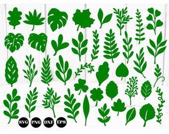 40 hojas svg, hojas svg, hojas de flores de papel svg, hojas tropicales svg, plantillas de hojas svg, vegetación svg, botánico svg, monstera svg png dxf