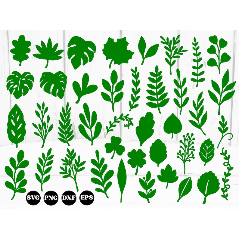 May include: A collection of 38 green leaf and branch silhouette illustrations. The illustrations are in a variety of shapes and sizes, and are perfect for use in crafting projects, scrapbooking, or digital design.