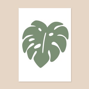 May include: A green silhouette of a monstera leaf on a white background.